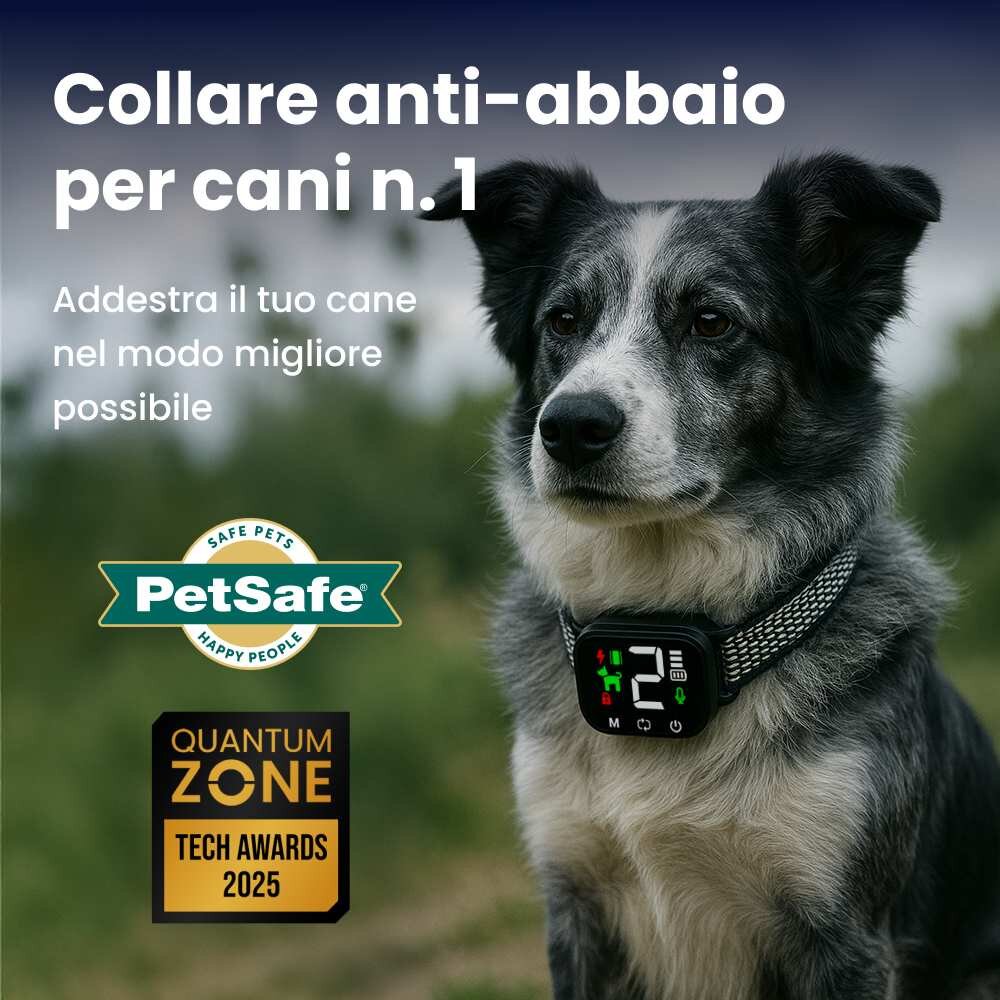 NooBark image