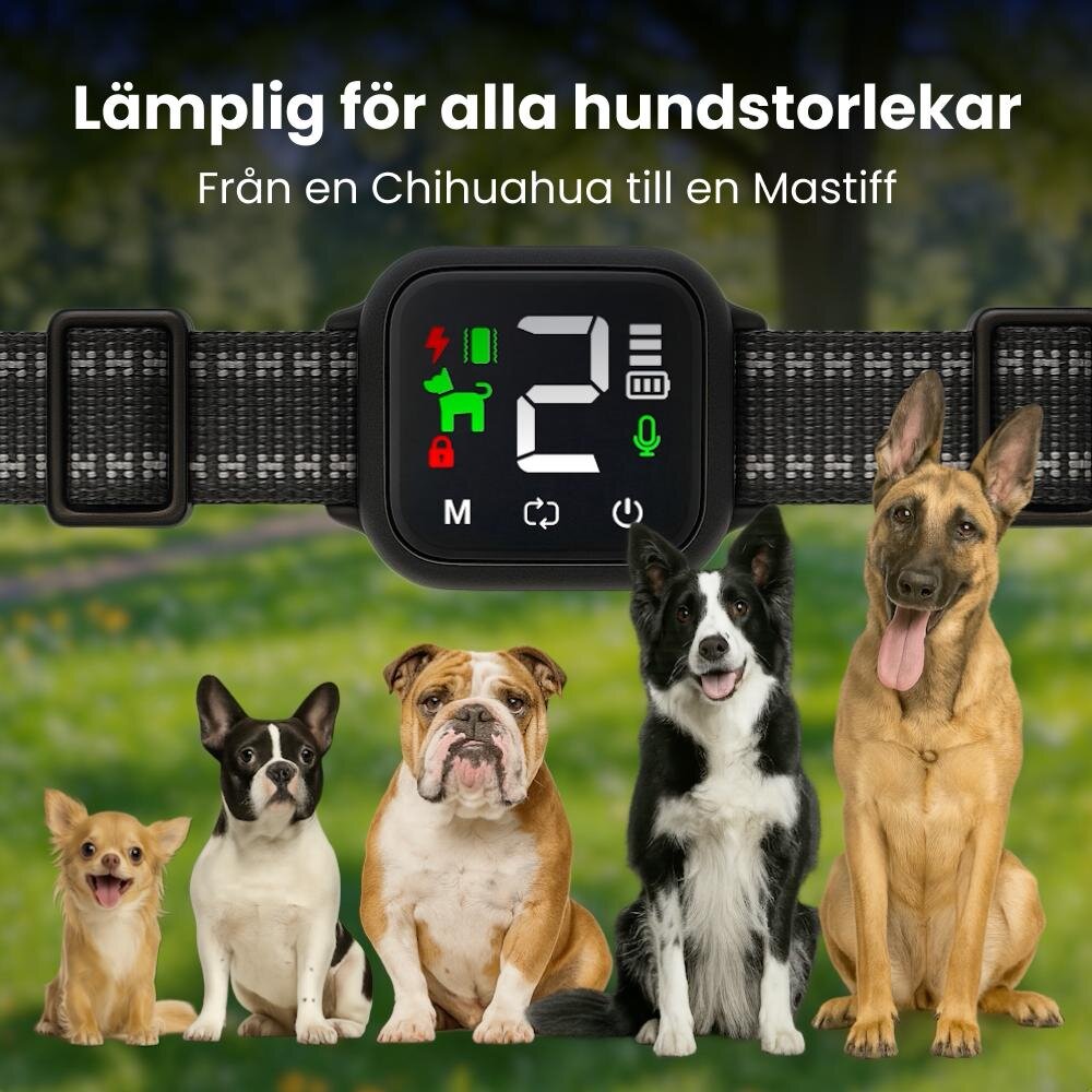 NooBark image