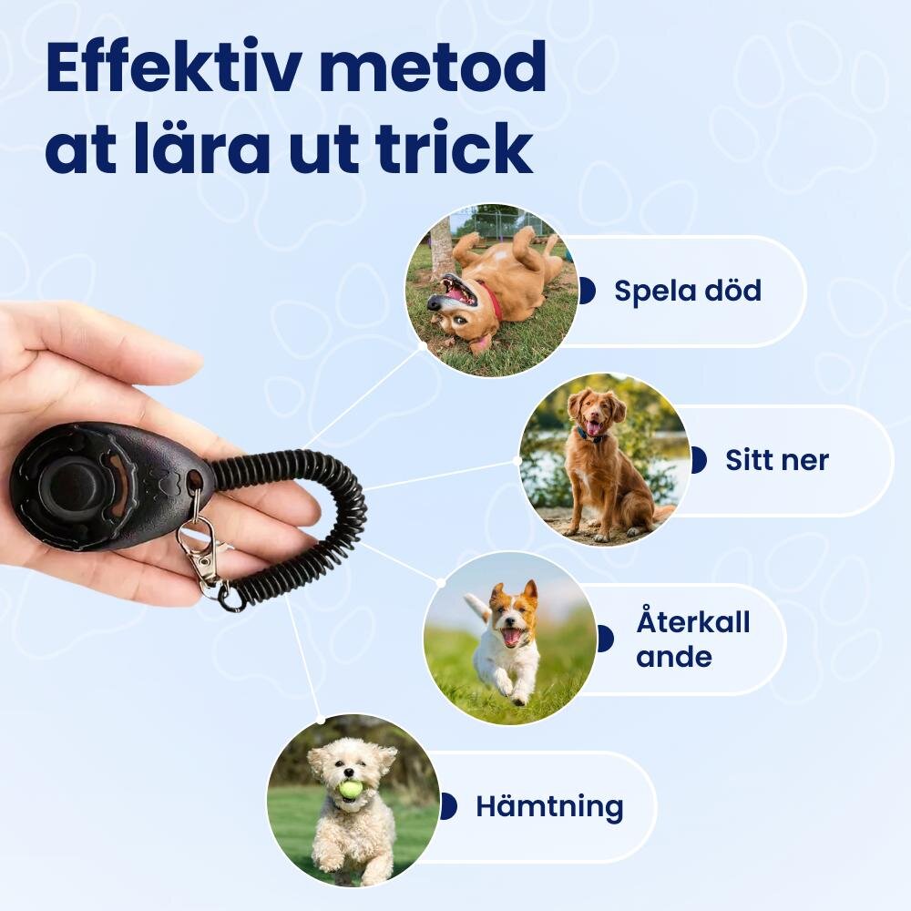 NooBark image